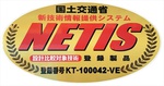 NETIS-KT-100042-VE.jpg