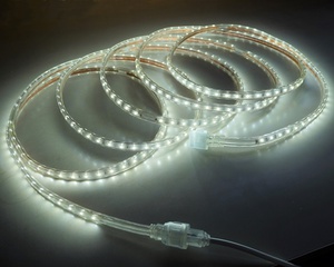 LED-R4-2835JHY-60L-5m.jpg